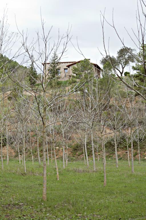La Baronia de Rialb Masia Ca L'Anima酒店 外观 照片