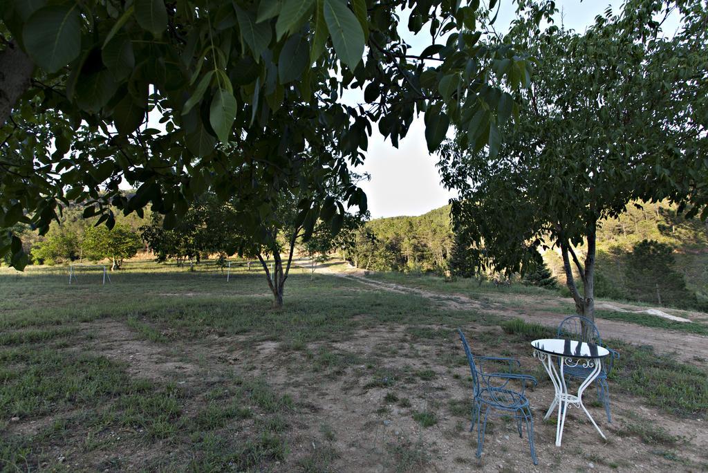 La Baronia de Rialb Masia Ca L'Anima酒店 外观 照片