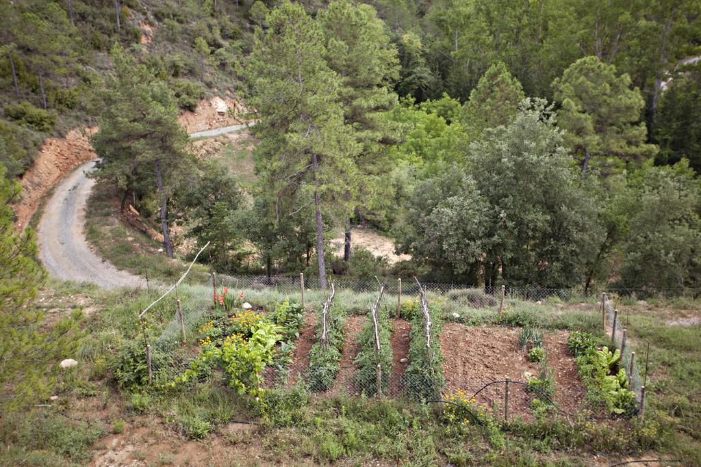 La Baronia de Rialb Masia Ca L'Anima酒店 客房 照片